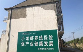 中国人寿财险湖北省分公司3745万元理赔款为荆州千余虾农“雪中送炭”