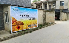 中国人寿财险武汉市中心支公司积极履行社会责任护航武汉淡水养殖产业发展