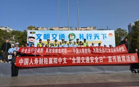 中国人寿财险协办谷城县“全国交通安全日”主题活动，共倡“文明交通 礼行天下”