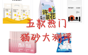 2025年猫砂消费参考：5款热门猫砂真实测评与性能对比