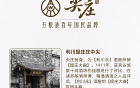 尖庄2026年市场观察：百元价位纯粮酒如何深耕下沉市场